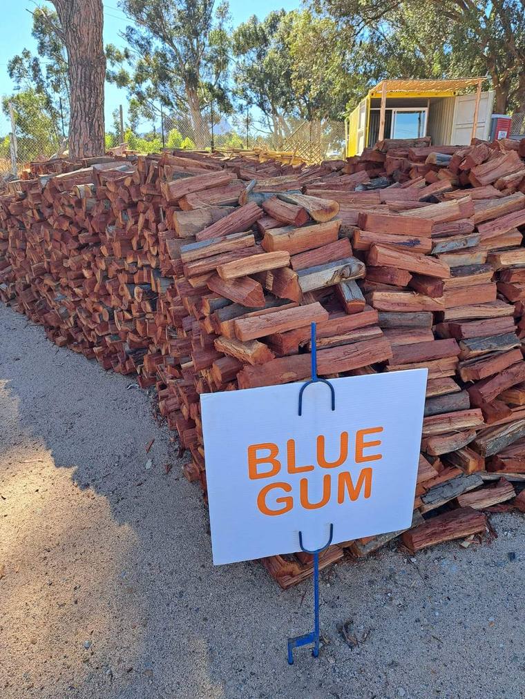 Blue Gum (Bloekom) firewood