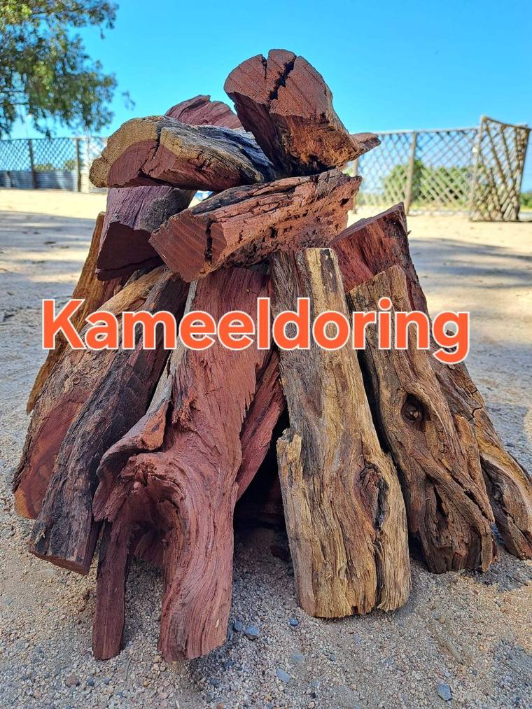 Kameeldoring hardwood